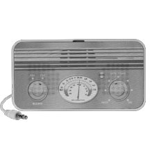 Chrome Vintage Radio Speakers