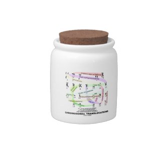 Chromosomal Translocations (Karyogram) Candy Dishes