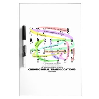 Chromosomal Translocations (Karyogram) Dry Erase Whiteboard