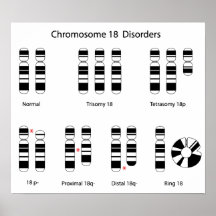 Chromosome 18 disorders Poster