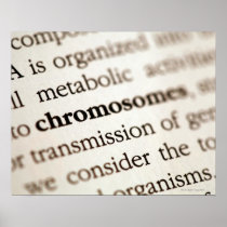 Chromosomes definition on page poster