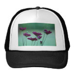Chrysanthemum and meaning mesh hats