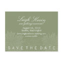 Chrysanthemum Blossom Save the Date postcards by pinklilypress Chrysanthemum Blossom Save the Date postcards
