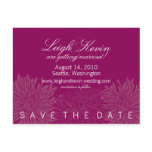 Chrysanthemum Blossom Save the Date Post Card
