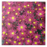 Chrysanthemum Cluster Garden Purple Ceramic Tiles