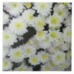 Chrysanthemum Cluster Garden White Tiles