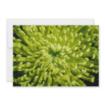 Chrysanthemum Flower Invitation