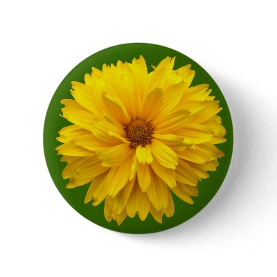 Chrysanthemum - Green Pin by artberry