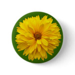 chrysanthemum, flower, flowers, floral, yellow