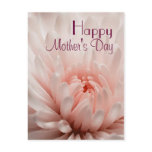 Chrysanthemum  - Happy Mother's Day Customized Postcard