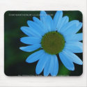 Chrysanthemum leucanthemum mousepads by JessicaFoxx Chrysanthemum leucanthemum mousepads