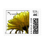 Chrysanthemum November Birthday Postage Stamps