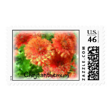Chrysanthemum Postage Stamps