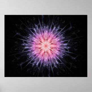 Chrysanthemum print