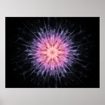Chrysanthemum Posters