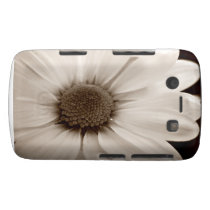 Chrysanthemum sepia flower Blackberry Bold case casemate cases