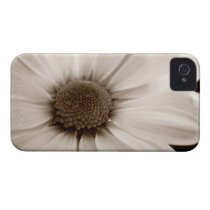 Chrysanthemum sepia flower iPhone 4 4S case CM casemate cases