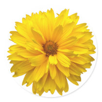 Chrysanthemum Stickers