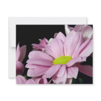 Chrysanthemums invitations