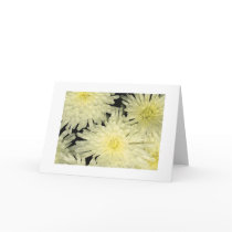 "Chrysanthemums Like Stars" Greeting Cards