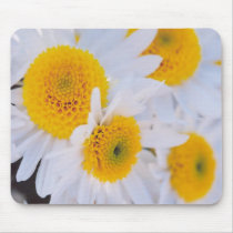 Chrysanthemums mousepads