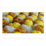 Chrysanthemums postcards