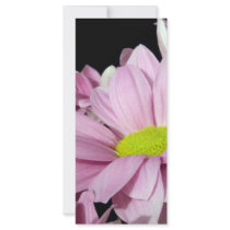 Chrysanthemums rack cards