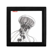 Chrysaora Jellyfish Ink Painting gift boxes