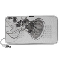 Chrysaora Jellyfish Ink Painting speakers