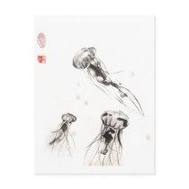 Chrysaora Jellyfish Postcard