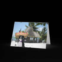 Chrysie Mexican Christmas cards