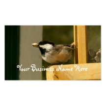 CHSC Chickadee Scores Business Cards