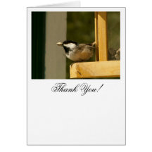 CHSC Chickadee Scores Card