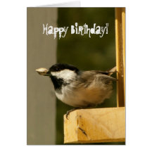 CHSC Chickadee Scores Card