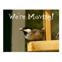 CHSC Chickadee Scores Postcard