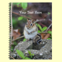 Chubby Chipmunk Nature Art Notebook notebooks