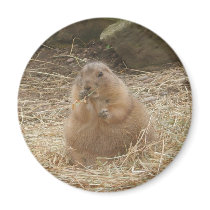 Chubby Prairie Dog magnets by Housh68 Chubby Prairie Dog magnets