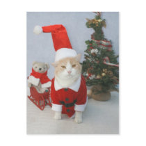 Chubby Santa Cat postcards by myrtieshuman Chubby Santa Cat postcards