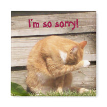 ChubbyCubby Says ... I'm so sorry! magnets