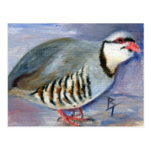 Chuck the Chukar Postcard