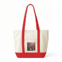 Chuck Veer Bag
