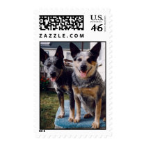 CHUCKY AND SYDNEY STAMPS