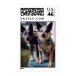 CHUCKY AND SYDNEY STAMPS