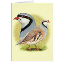 Chukar Partridge Combo Greeting Card
