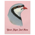 Chukar:  Partridge Head flyers