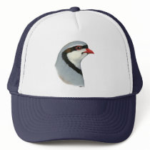 Chukar:  Partridge Head Hat