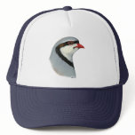 Chukar:  Partridge Head hats