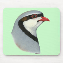 Chukar:  Partridge Head Mouse Pads