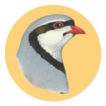 Chukar:  Partridge Head Round Stickers