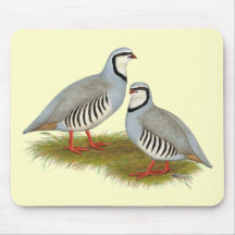 Chukar Partridge Pair Mouse Pads